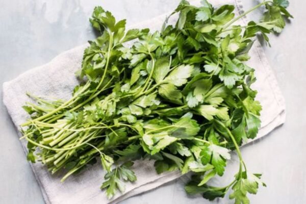 How to Properly Store Fresh Herbs to Maximize Freshness