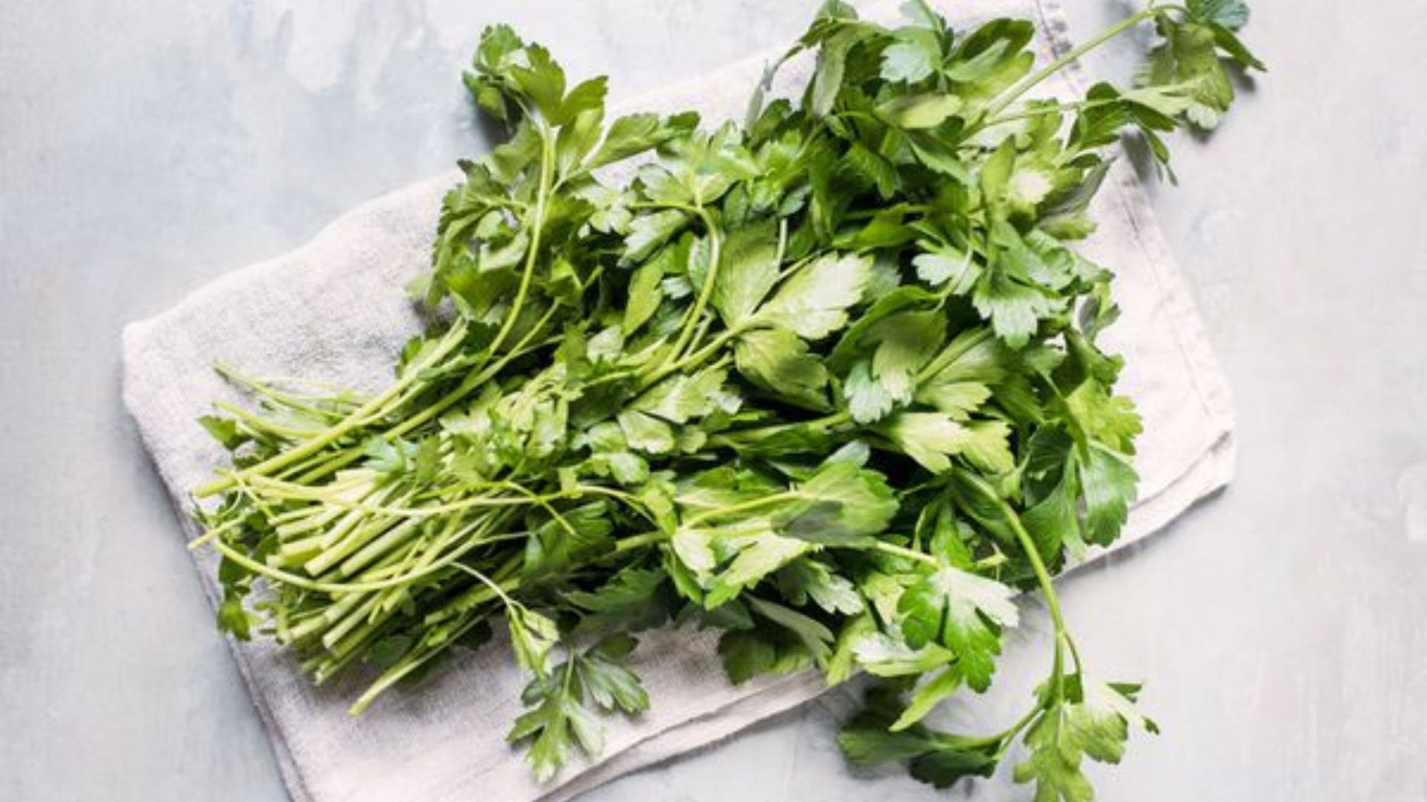 How to Properly Store Fresh Herbs to Maximize Freshness